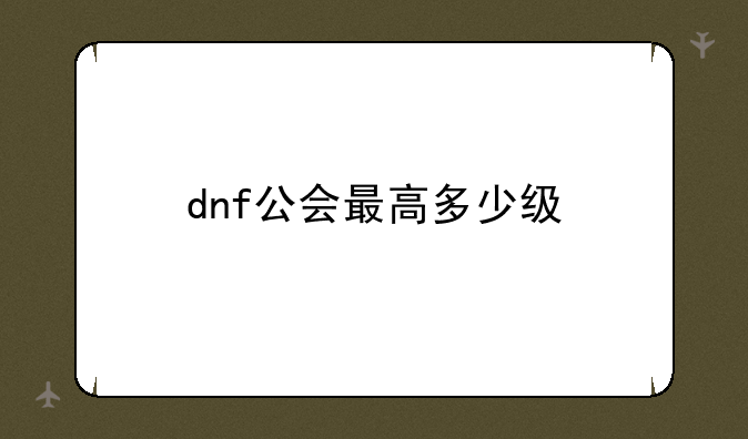 dnf公会最高多少级