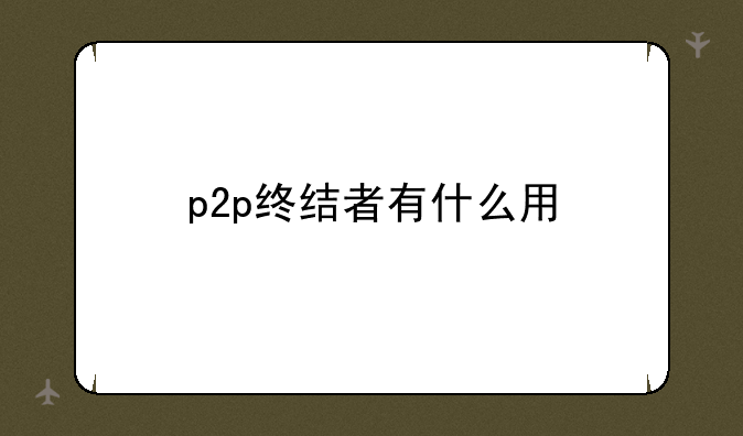 p2p终结者有什么用