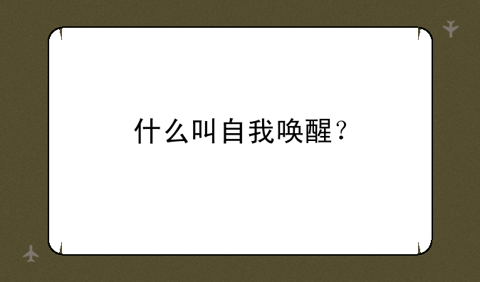 什么叫自我唤醒？