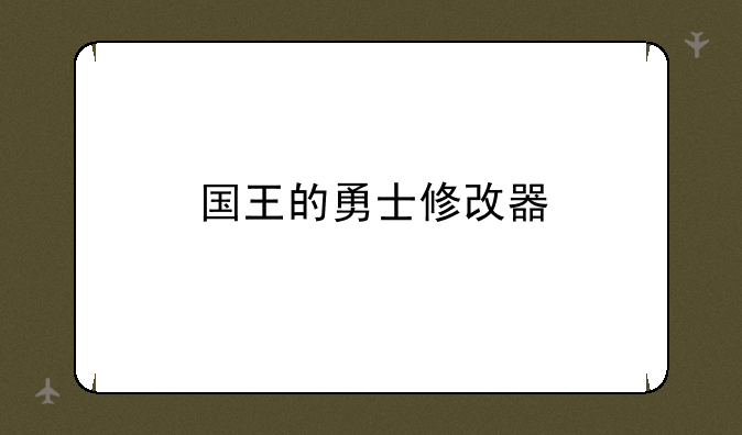 国王的勇士修改器