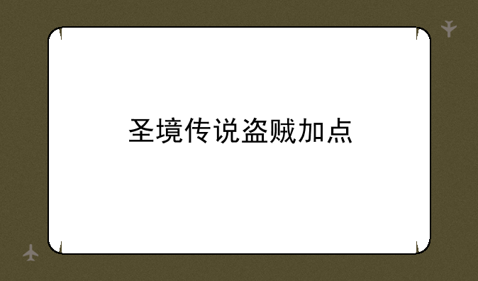 圣境传说盗贼加点