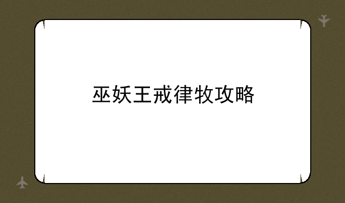 巫妖王戒律牧攻略