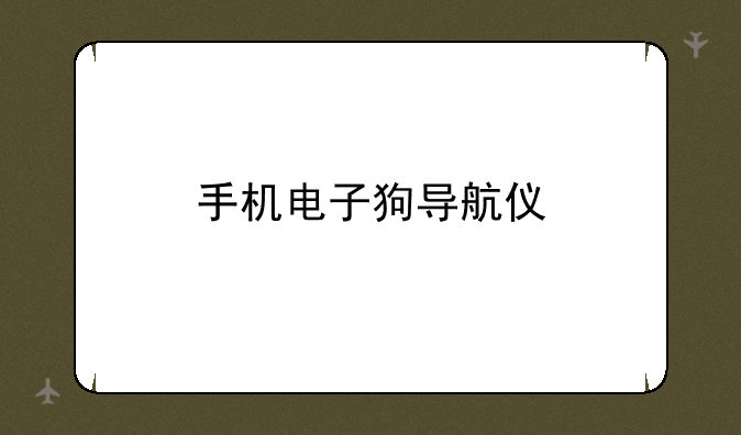 手机电子狗导航仪