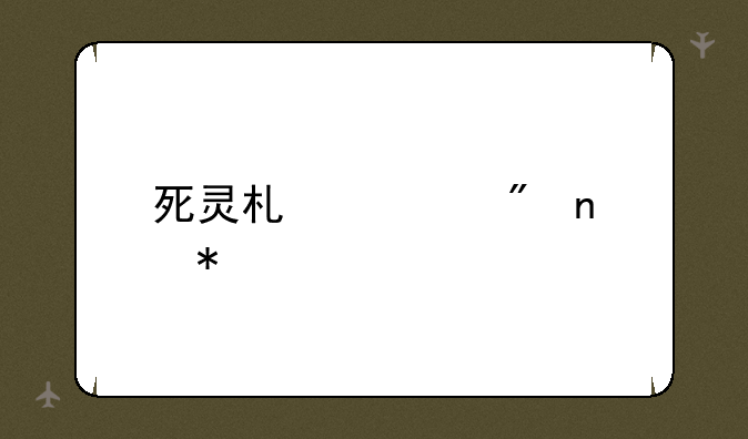 死灵术士刷图加点