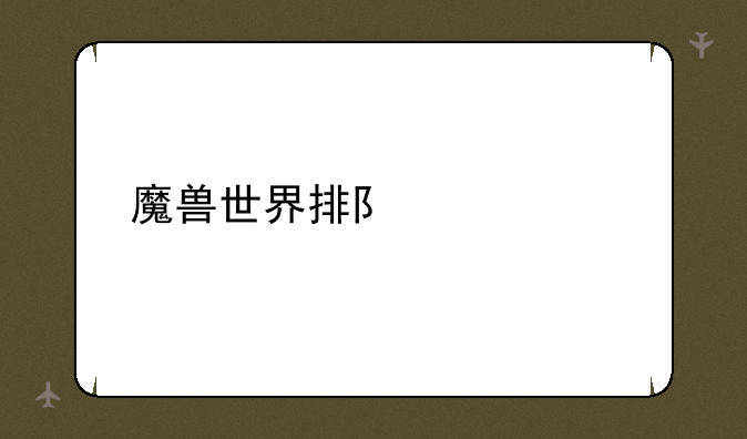 魔兽世界排队情况