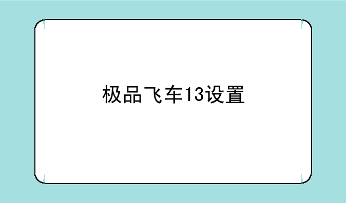 极品飞车13设置