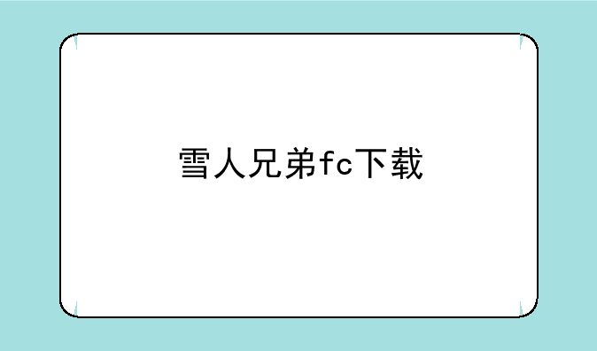 雪人兄弟fc下载