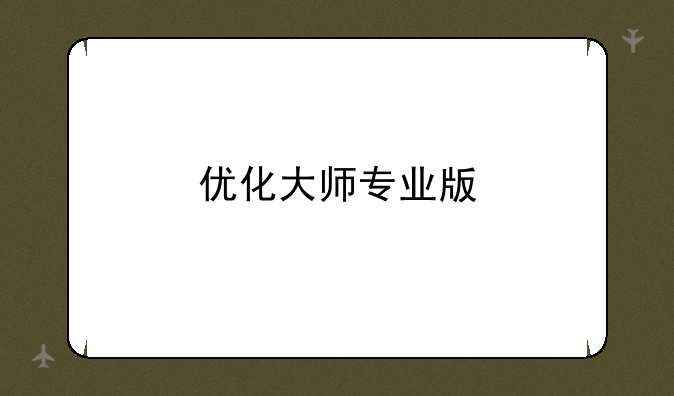 优化大师专业版