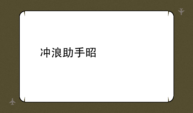 冲浪助手是什么
