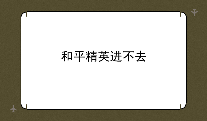 和平精英进不去