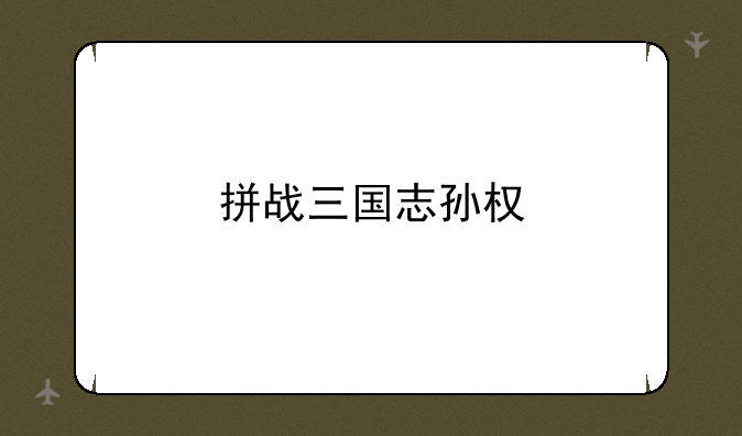 拼战三国志孙权