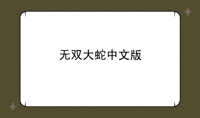 无双大蛇中文版