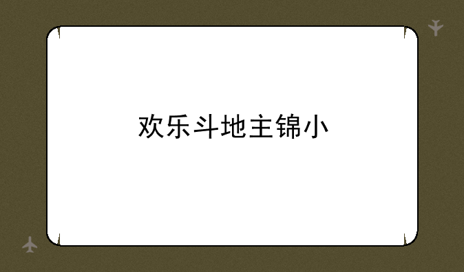 欢乐斗地主锦小