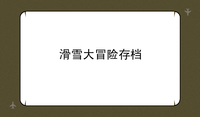 滑雪大冒险存档