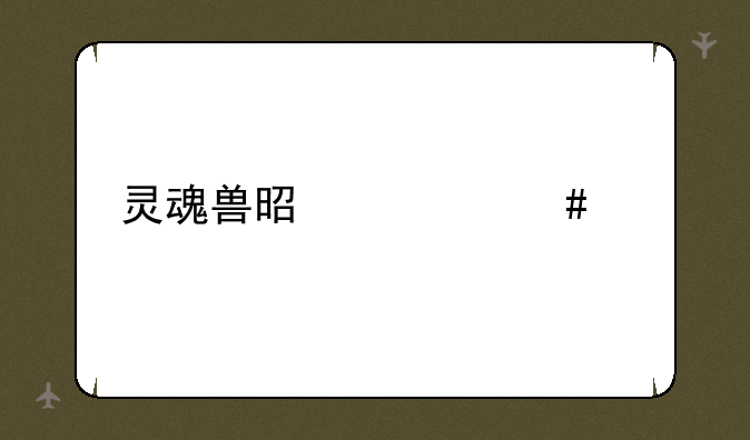 灵魂兽是什么系
