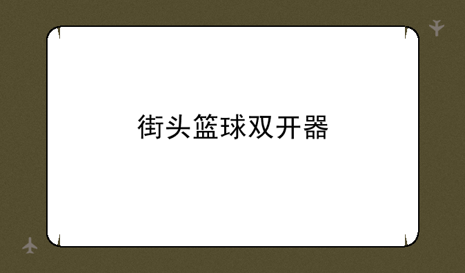 街头篮球双开器