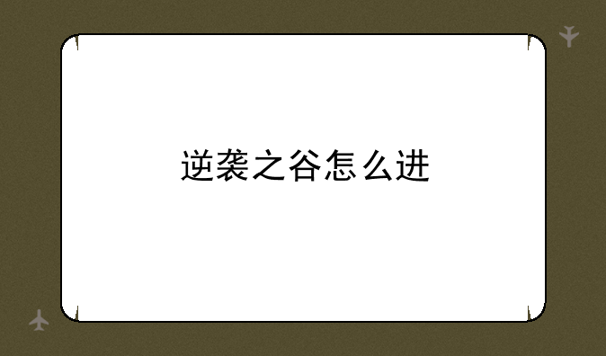 逆袭之谷怎么进