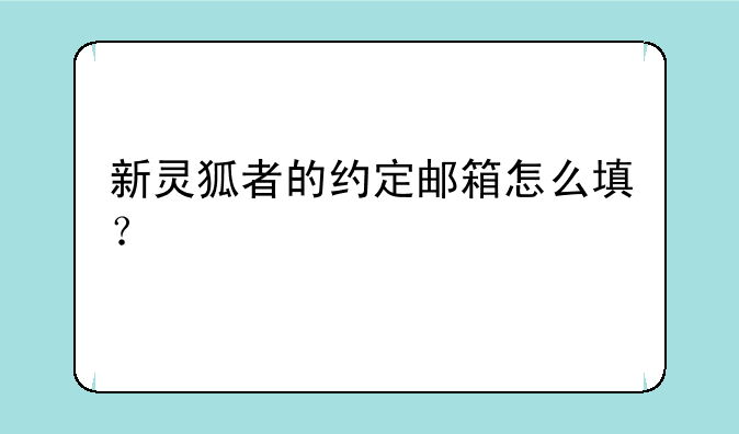 新灵狐者的约定邮箱怎么填？