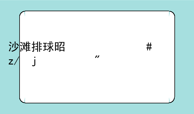 沙滩排球是个什么类型的游戏