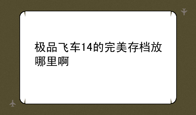 极品飞车14的完美存档放哪里啊