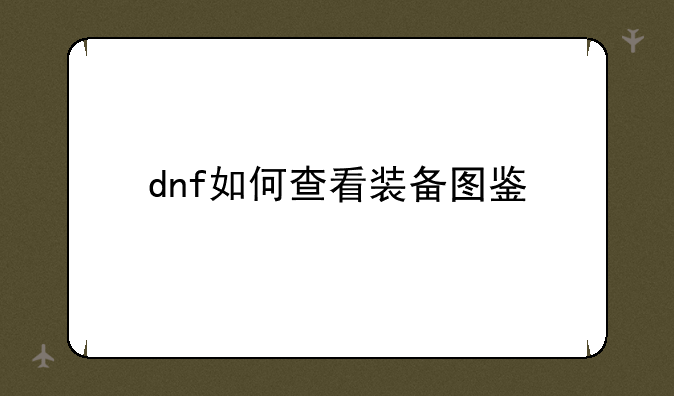 dnf如何查看装备图鉴