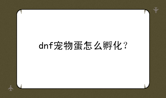 dnf宠物蛋怎么孵化？