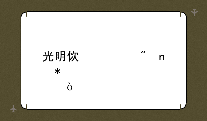 光明使者刷图加点？