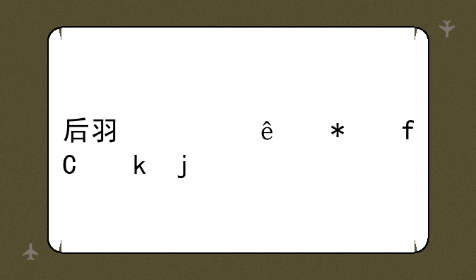 后羿情人节限定皮肤