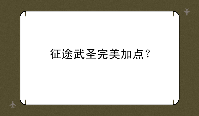 征途武圣完美加点？