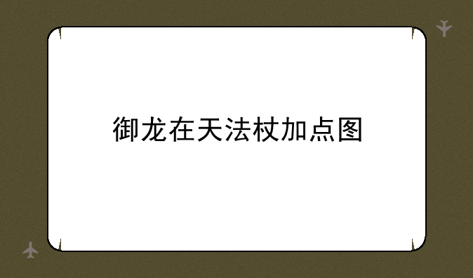 御龙在天法杖加点图