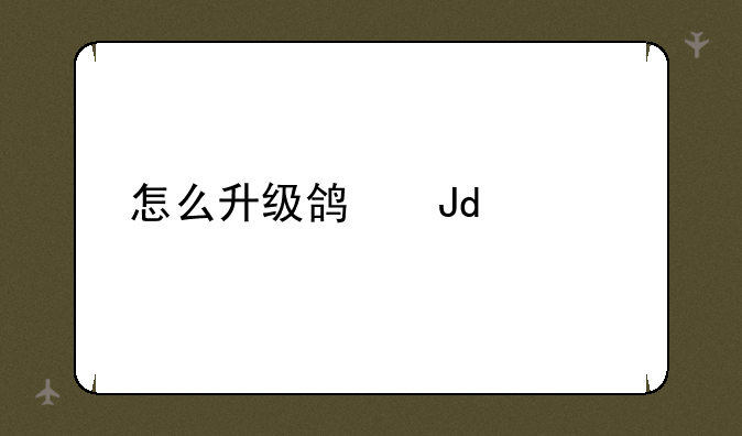 怎么升级鸿蒙2.0系统