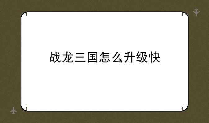 战龙三国怎么升级快
