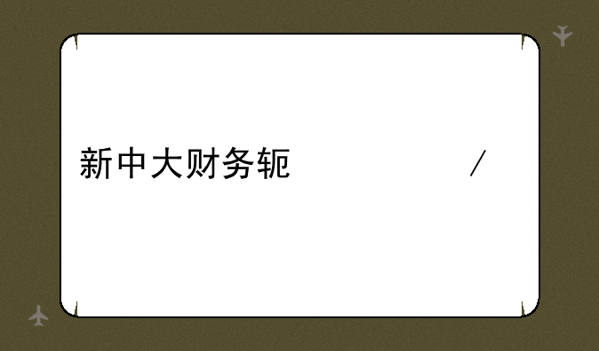 新中大财务软件下载