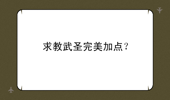 求教武圣完美加点？