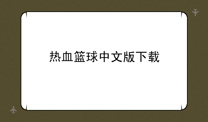 热血篮球中文版下载