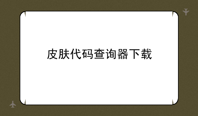 皮肤代码查询器下载