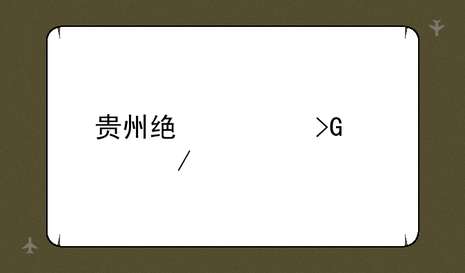 贵州统计发布app下载
