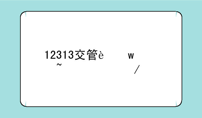 12313交管违章查询下载