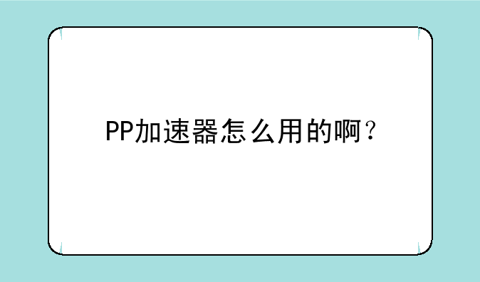 PP加速器怎么用的啊？