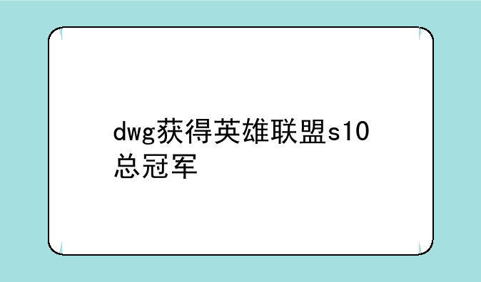 dwg获得英雄联盟s10总冠军