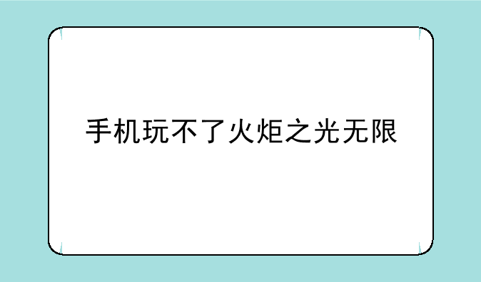 手机玩不了火炬之光无限