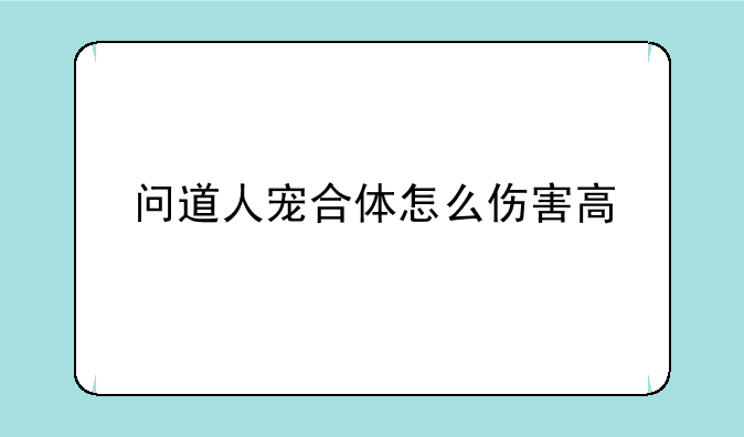 问道人宠合体怎么伤害高