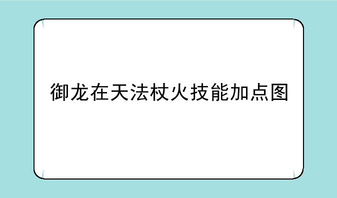 御龙在天法杖火技能加点图