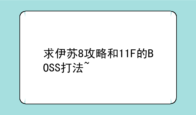 求伊苏8攻略和11F的BOSS打法~
