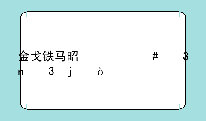 金戈铁马是什么歌曲里的？