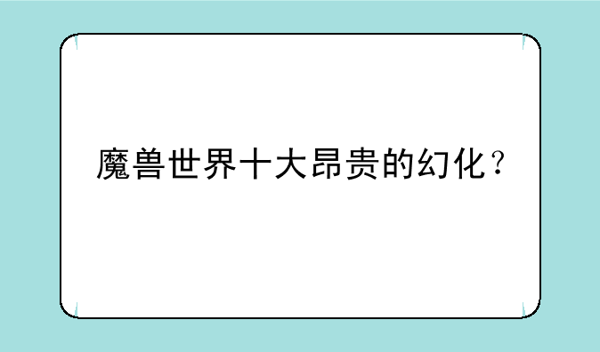 魔兽世界十大昂贵的幻化？