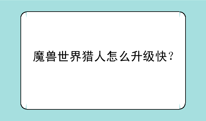 魔兽世界猎人怎么升级快？