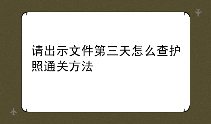 请出示文件第三天怎么查护照通关方法