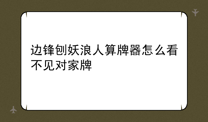 边锋刨妖浪人算牌器怎么看不见对家牌