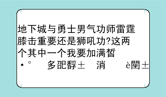 地下城与勇士男气功师雷霆膝击重要还是狮吼功?这两个其中一个我要加满的，大家要说明理由啊，有分